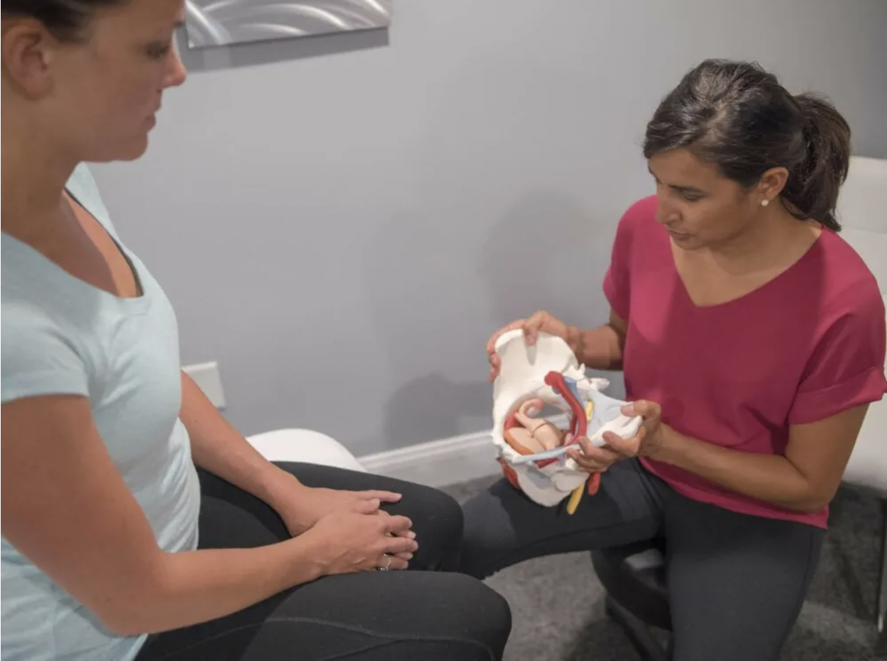 pelvic assessment